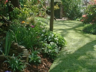 New Lawn Turf in Bridgwater